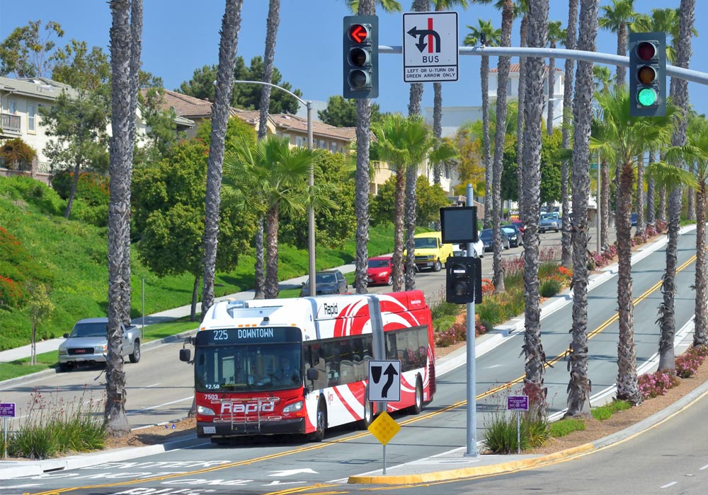 Dedicated Bus Lane