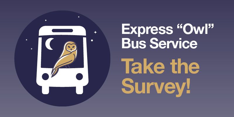 Express Owl Bus Service Survey