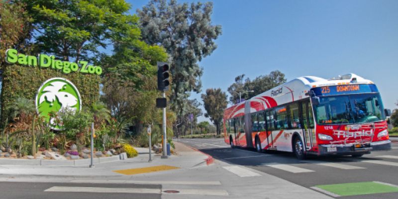 Rapid 215 to the San Diego Zoo