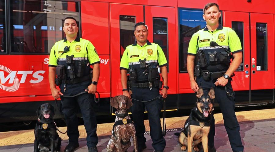 The Paw Squad  San Diego Padres