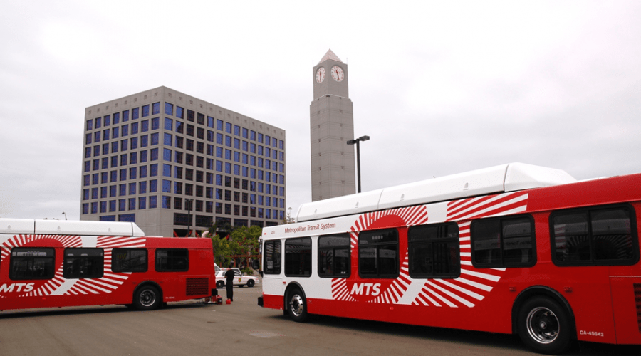 MTS Buses